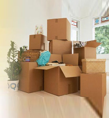 Domestic Relocation Services