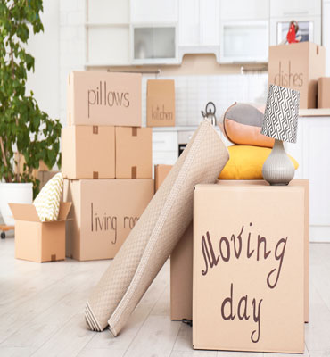 Office Shifting Services 