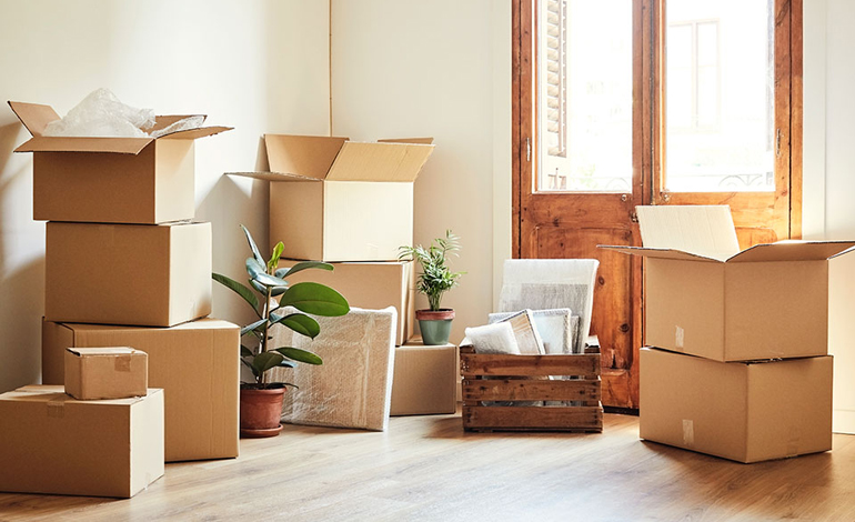 Packers and Movers Services